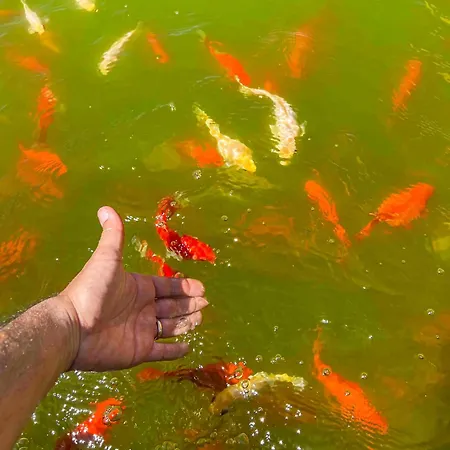Natural House Holiday home Briatico